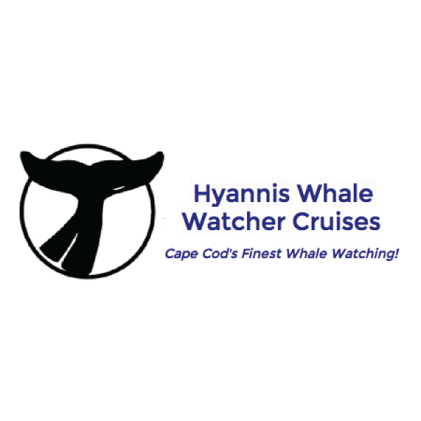 Hyannis Whale Watch 